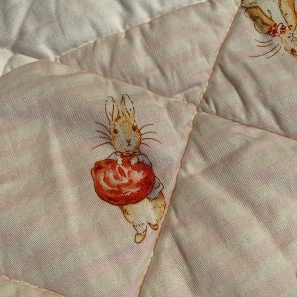 Beatrix Potter Peter Rabbit quilt - Picture 6 of 6